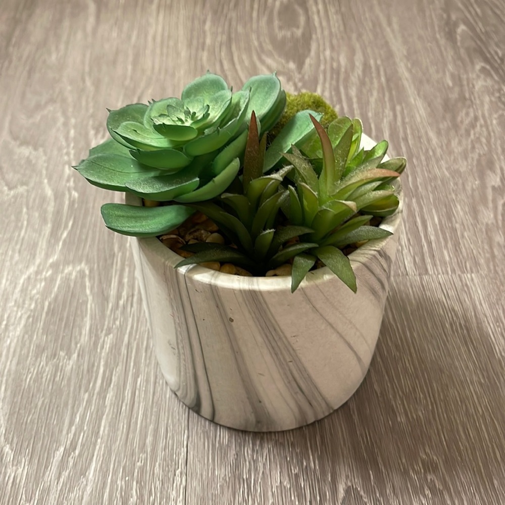 Faux Plant Size 4.5x5 Color White Gray Green Marble